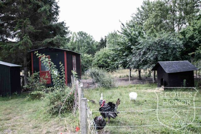 gård farm idyl landsted dyr location denmark (23 of 56)