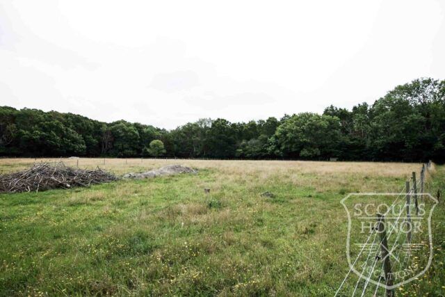 gård farm idyl landsted dyr location denmark (26 of 63)