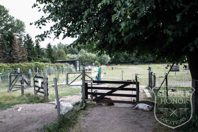 gård farm idyl landsted dyr location denmark (27 of 56)