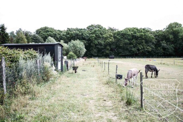 gård farm idyl landsted dyr location denmark (39 of 63)