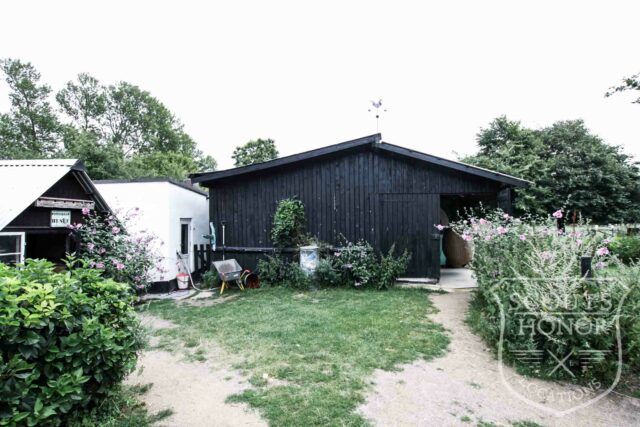 gård farm idyl landsted dyr location denmark (5 of 63)