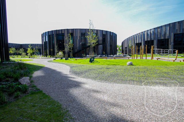 campus arkitektur moderne location denmark scoutshonor00144