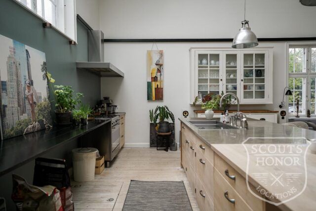 villa stort køkken atelier ovenlys location (8 of 93)