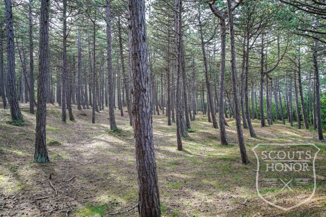 sommerhus idyl skov i baghaven lysindfald location denmark scoutshonor 002