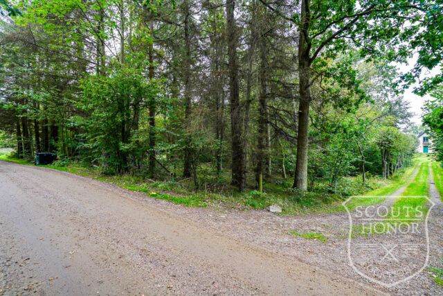 sommerhus idyl skov i baghaven lysindfald location denmark scoutshonor 013