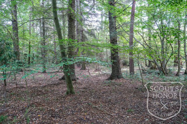 sommerhus idyl skov i baghaven lysindfald location denmark scoutshonor 035